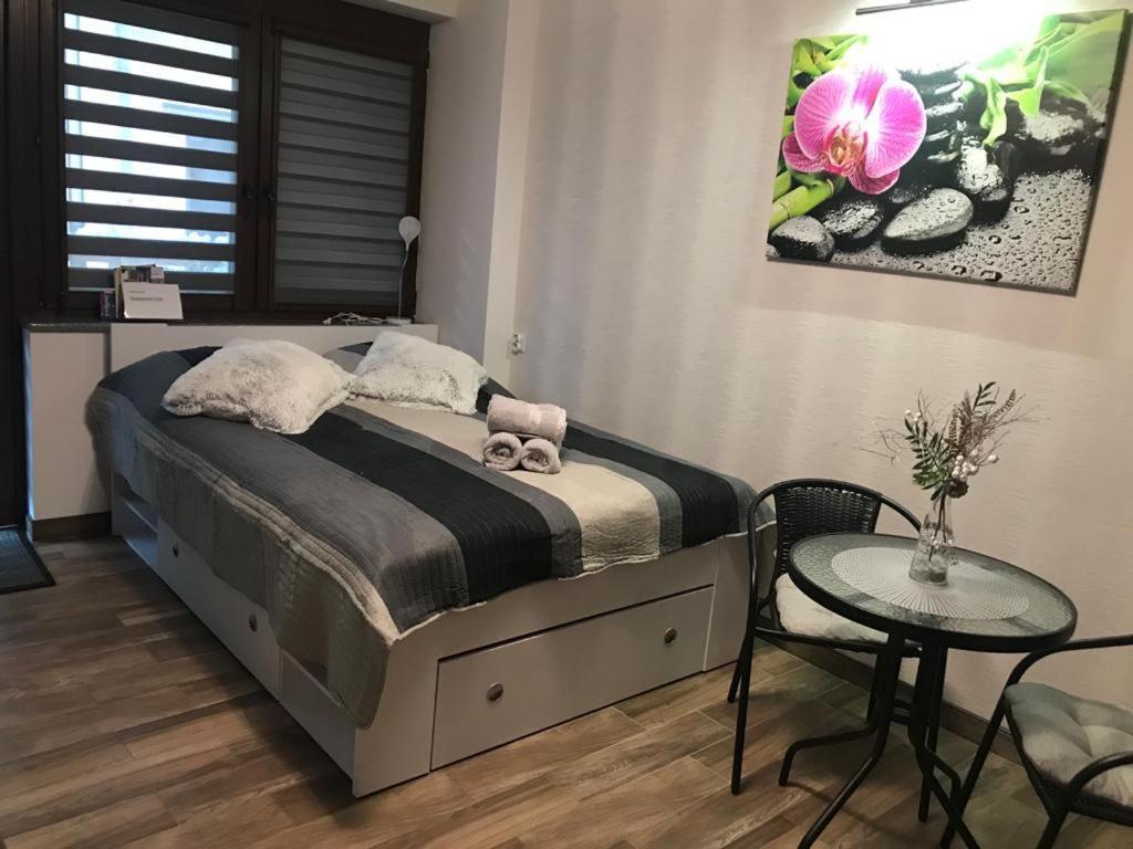 Spadzista 3 Kłodzko Extérieur photo